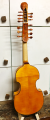 viola-d-amore-2.png