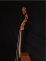 ViolaDaGmba head side.png