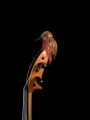 Grand Viola head.jpg